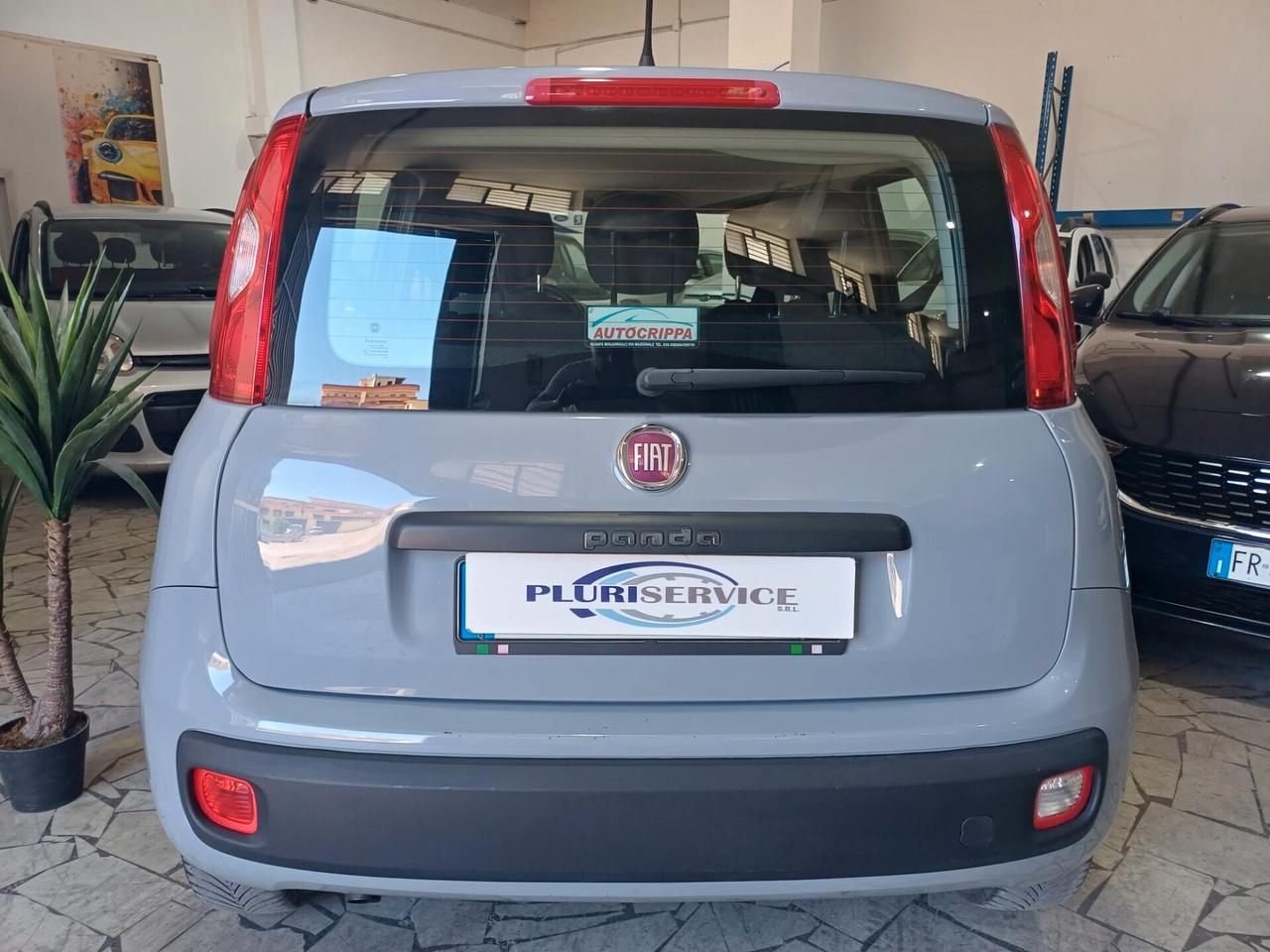 Fiat Panda 1.3 MJT EURO6 Lounge Perfetta - 2019