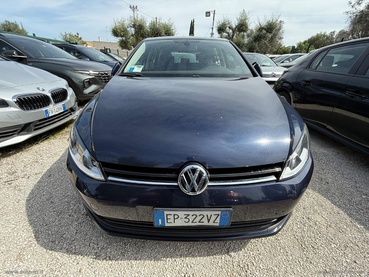 VOLKSWAGEN Golf Business 1.6 TDI 5p. Comfortline