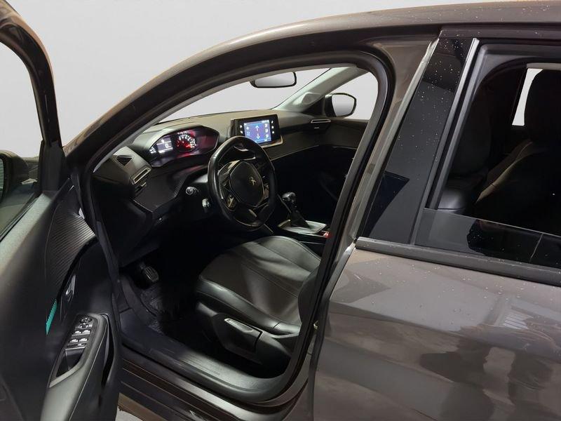 Peugeot 208 208 BlueHDi 100 Allure NAVI/LED/RETROCAM