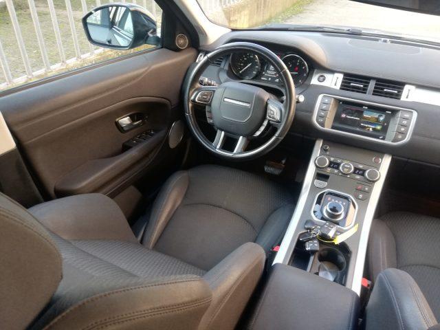 LAND ROVER Range Rover Evoque 2.0 eD4 5p. Business Edition Premium Pure