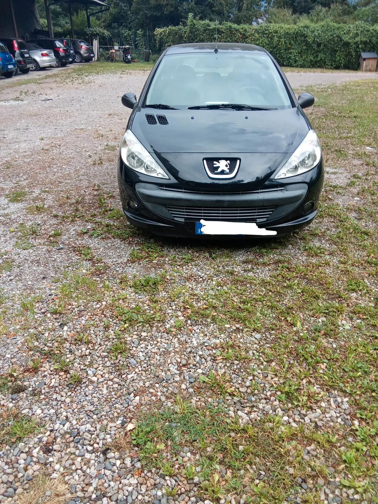 Peugeot 206 1100