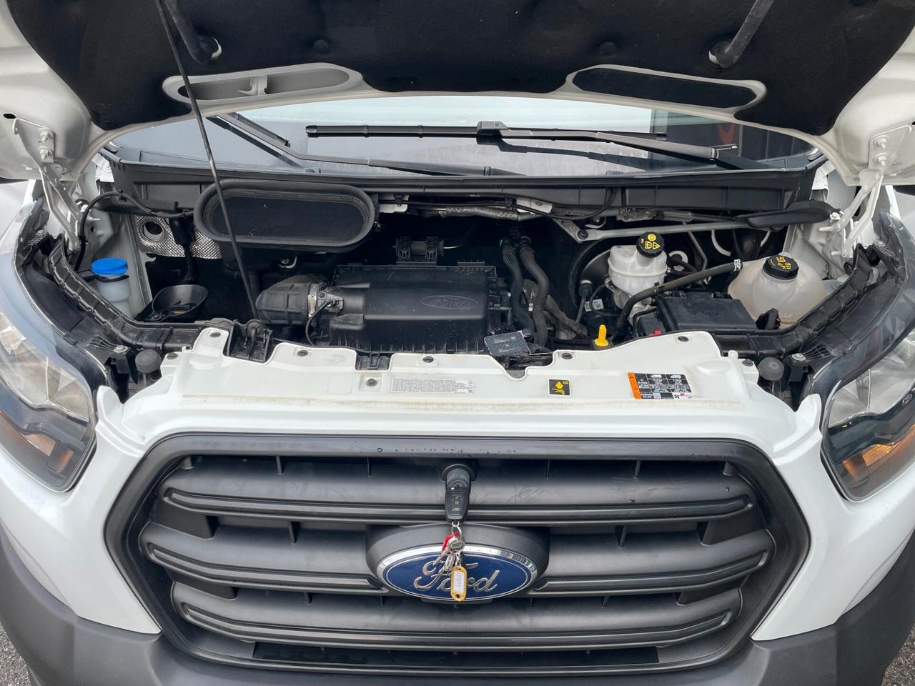 Ford Transit 350 2.0TDCi EcoBlue MHEV 130CV L2H2 Trend