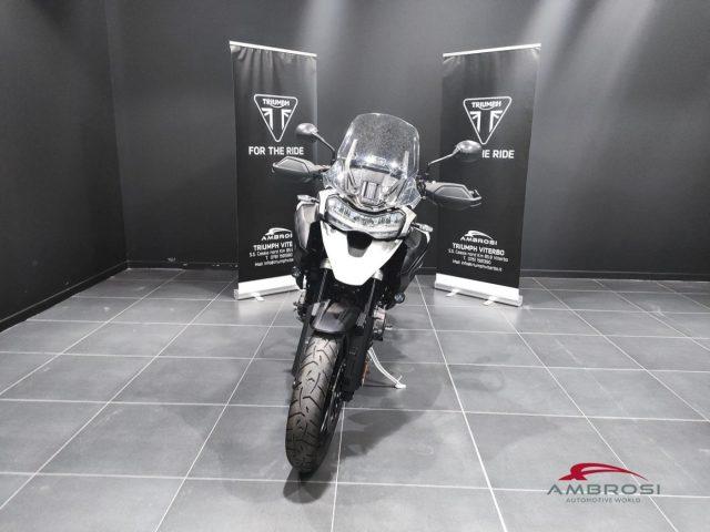 TRIUMPH Other Tiger GT PRO