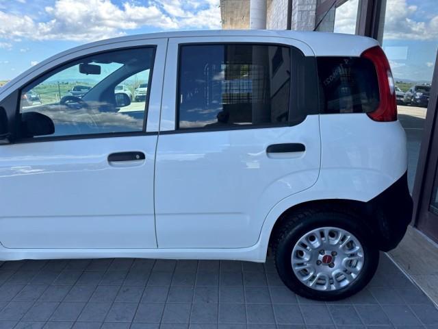 Fiat Panda Van1.3 Mjt 80 Cv Euro6 Van Ses 2 Posti