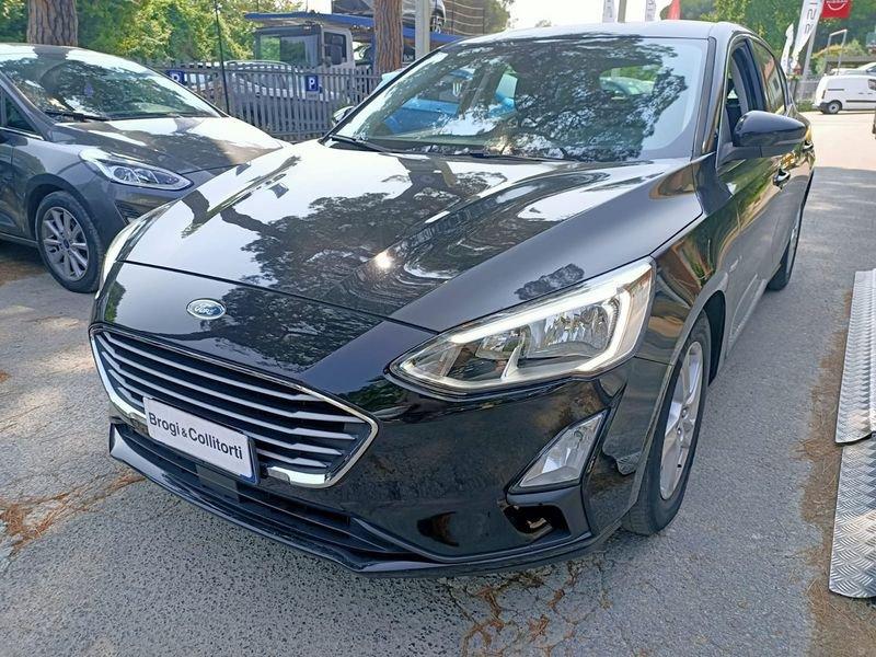 Ford Focus 1.5 ecoblue Plus 95cv 5 Porte 1.5 EcoBlue 95cv Plus