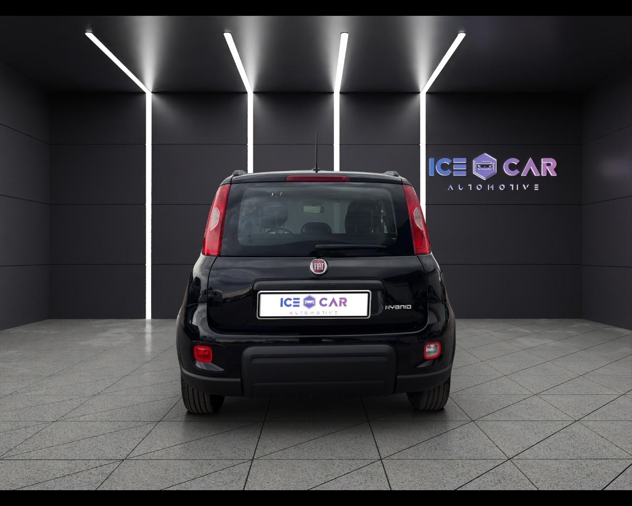 FIAT Panda 3ª serie - Panda 1.0 FireFly S&S Hybrid City Life