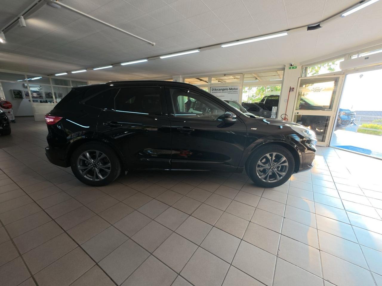 Ford Kuga 1.5 EcoBlue 120 CV 2WD ST-Line MANUALE
