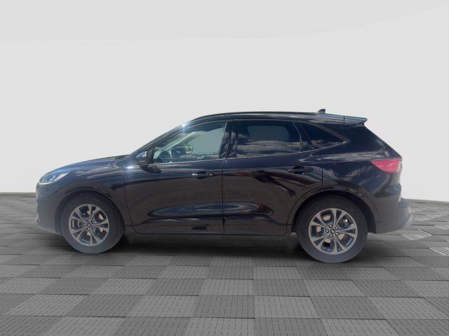 FORD Kuga Kuga 2.0 EcoBlue Hybrid 150 CV 2WD ST-Line
