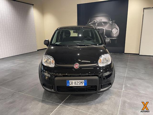 FIAT Panda 1.0 FireFly S&S Hybrid Con Rottamazione