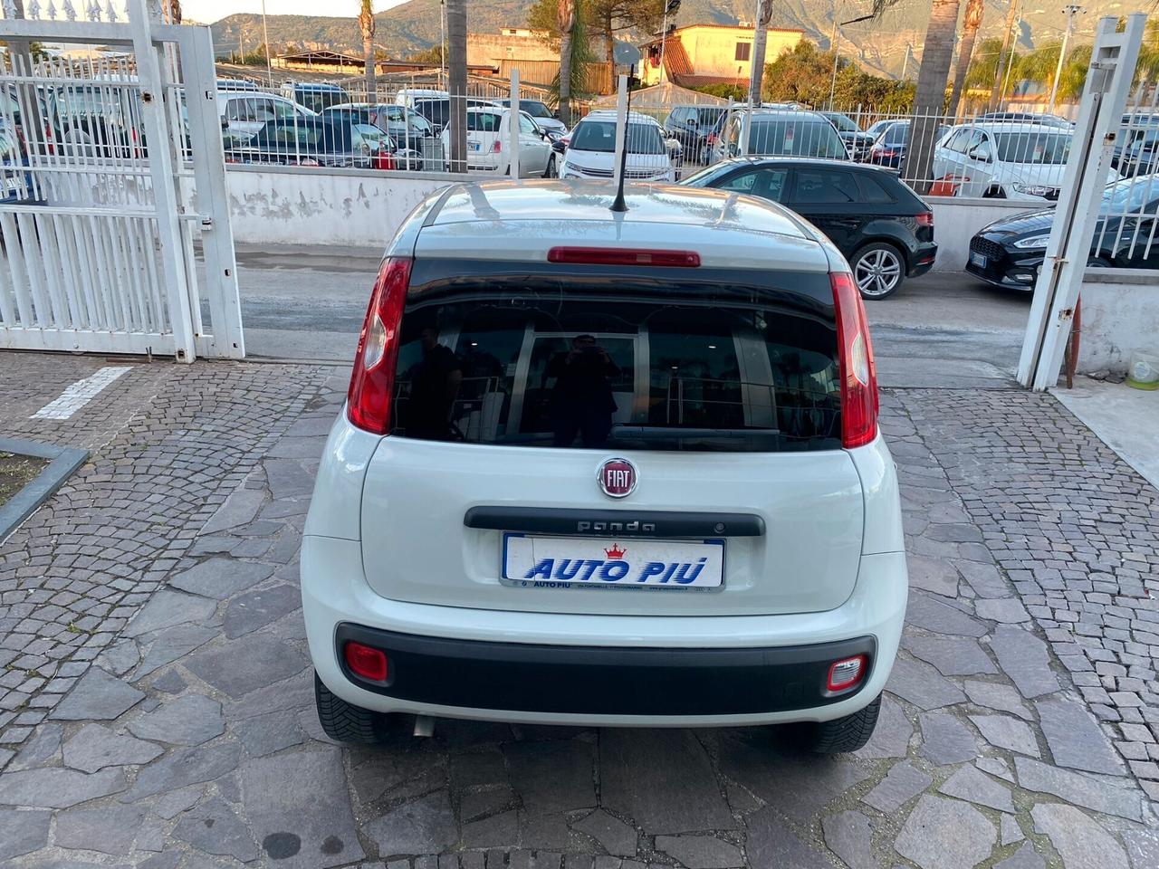 Fiat Panda 1.3 MJT 4x4 adatta a neo patentati