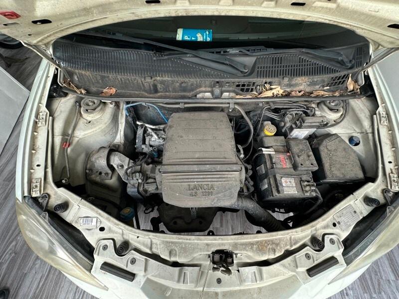 LANCIA Ypsilon 2ª serie Ypsilon 1.2 Platino