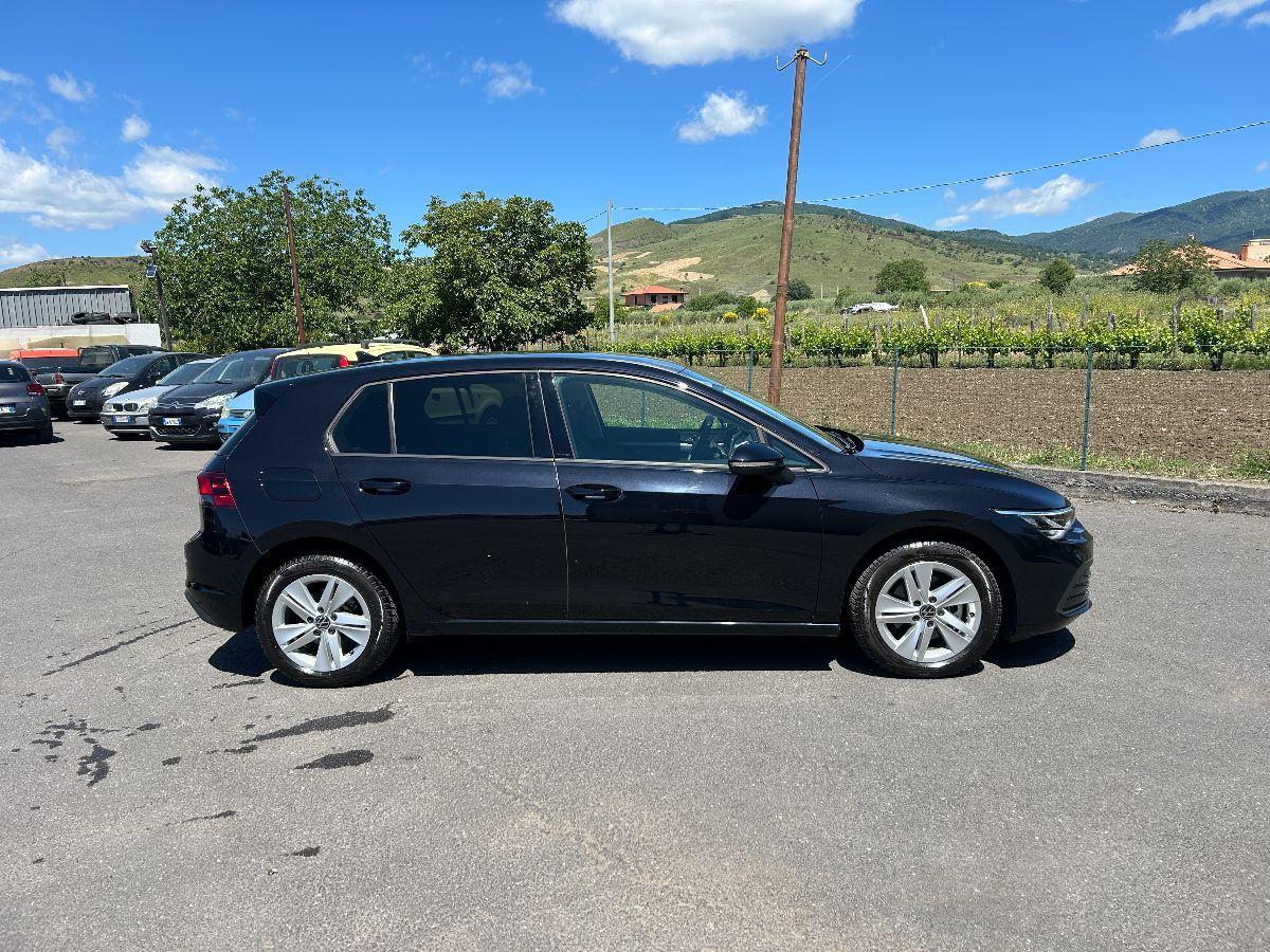 VOLKSWAGEN - Golf - 2.0 TDI 115CV 5p. Executive BMT