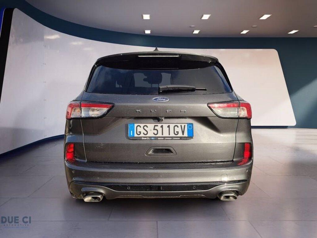 FORD Kuga 2.0 EcoBlue 120 CV aut. 2WD ST-Line del 2024
