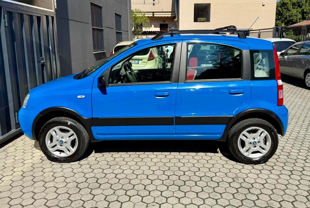 Fiat Panda 1.2 Benzina 4x4 Climbing