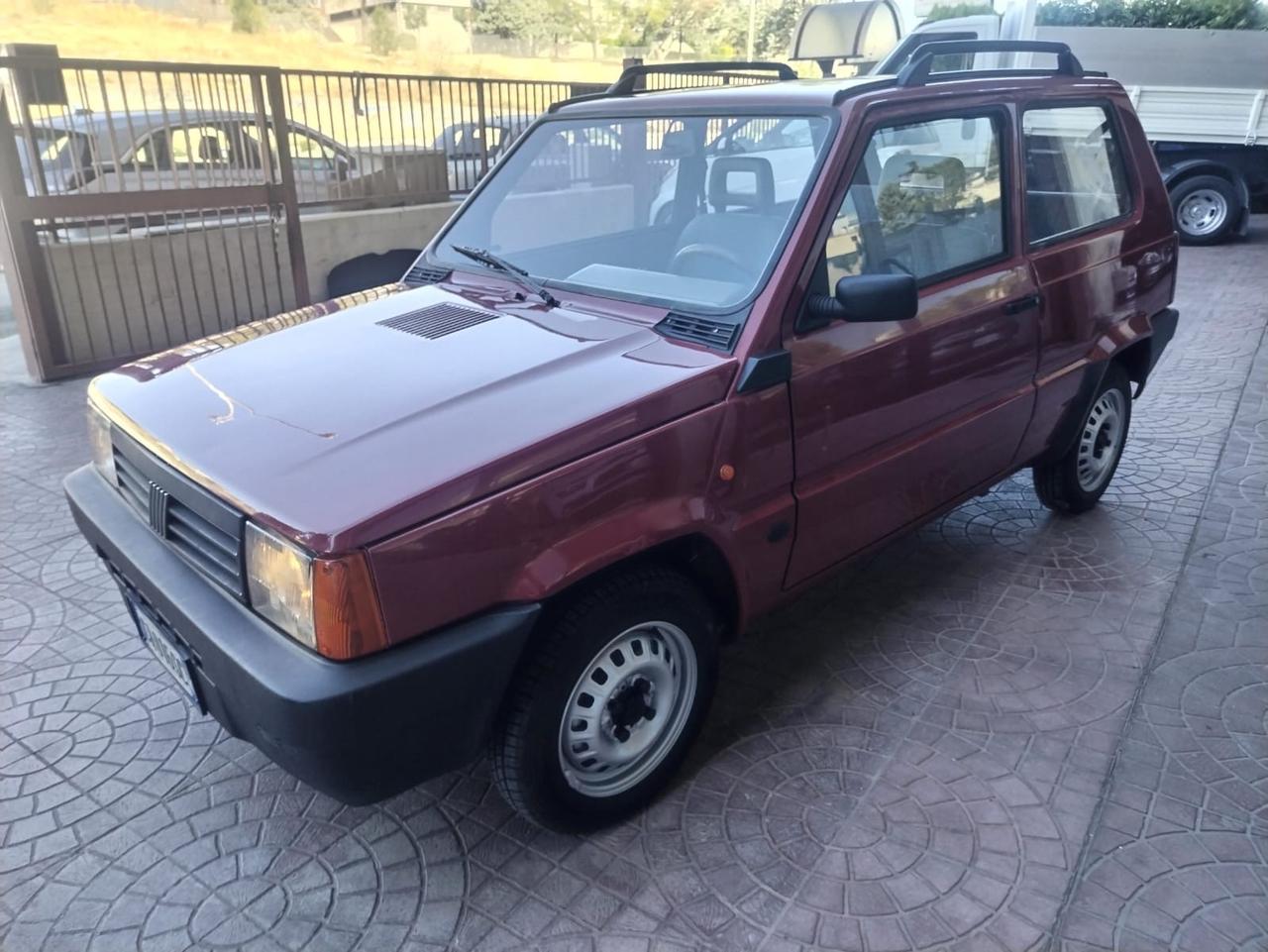 Fiat Panda 1100 i.e. cat College