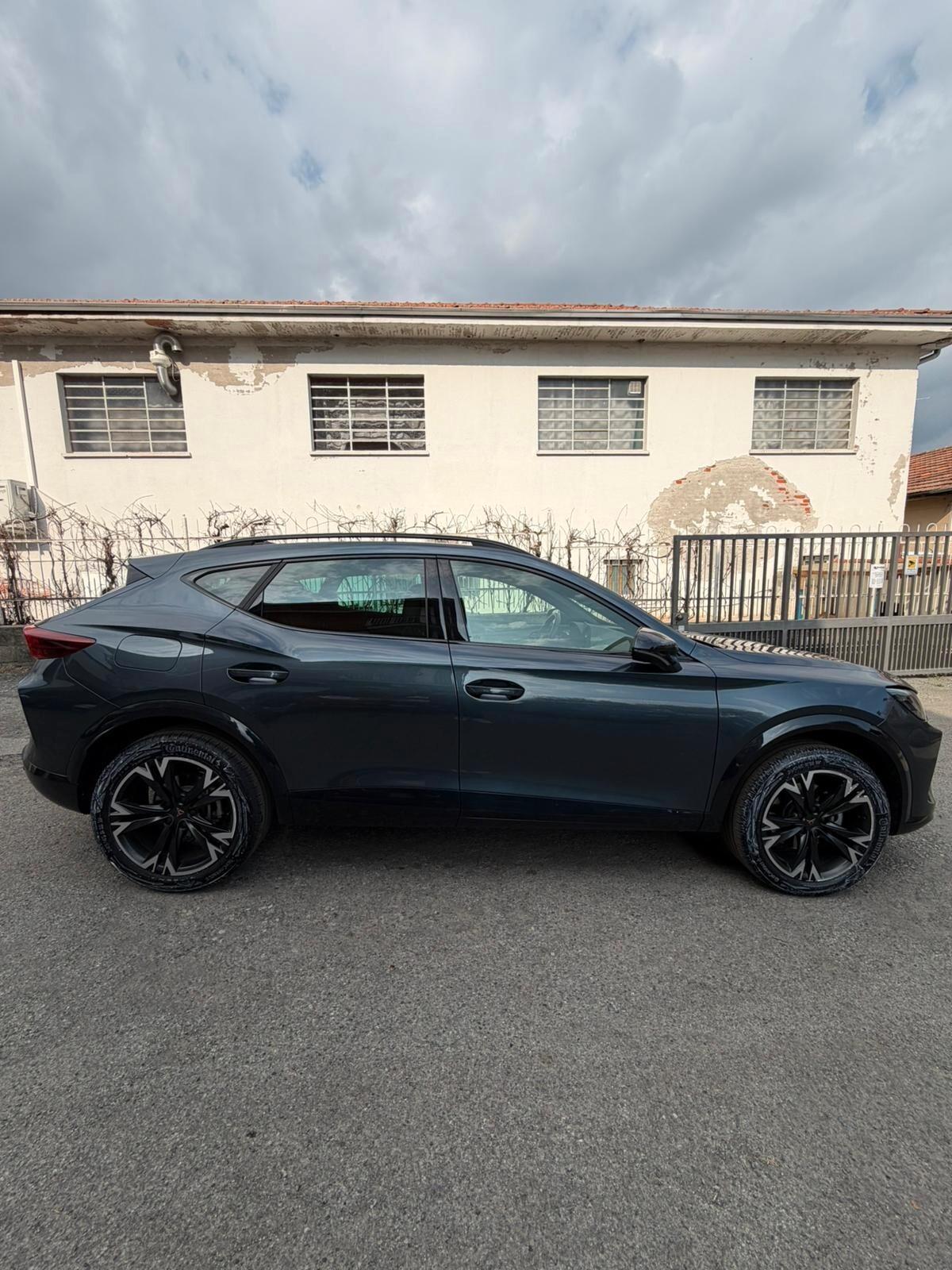 Cupra Formentor 2.0 TDI DSG
