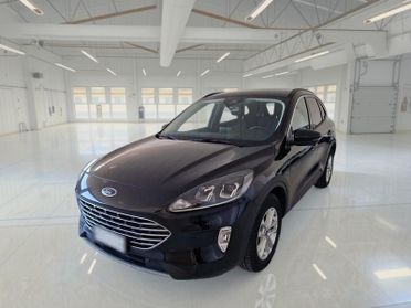 FORD KUGA 1.5 ECOBLUE 120 CV 2WD TITANIUM BUSINESS AUTO SUV