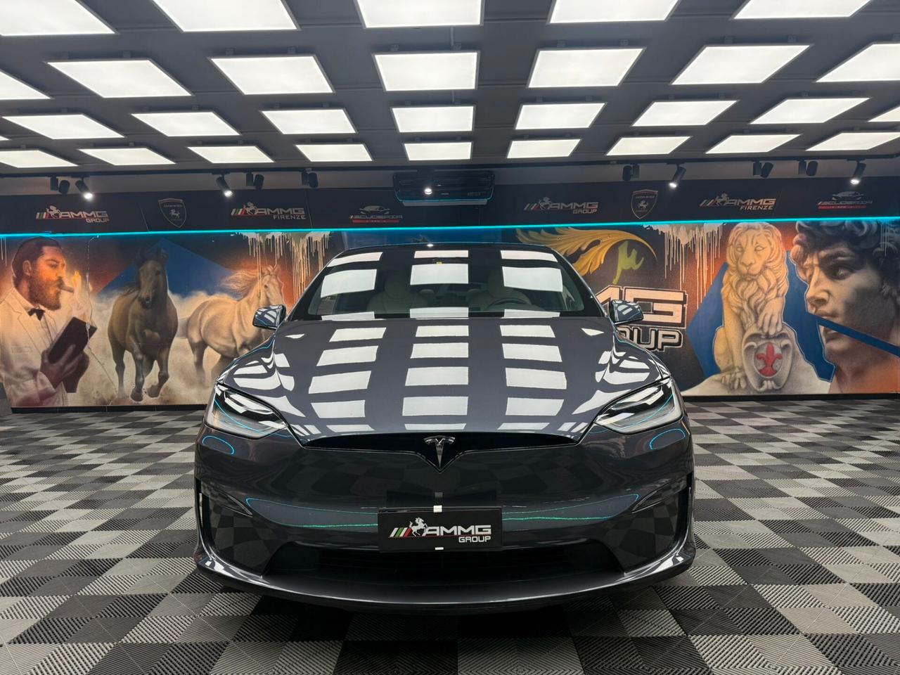 Tesla Model X LONG RANGE (734)