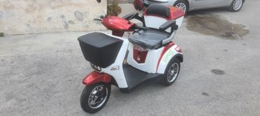 Altro Altro Ufoecobike mod ufo 3 colibri elettrico