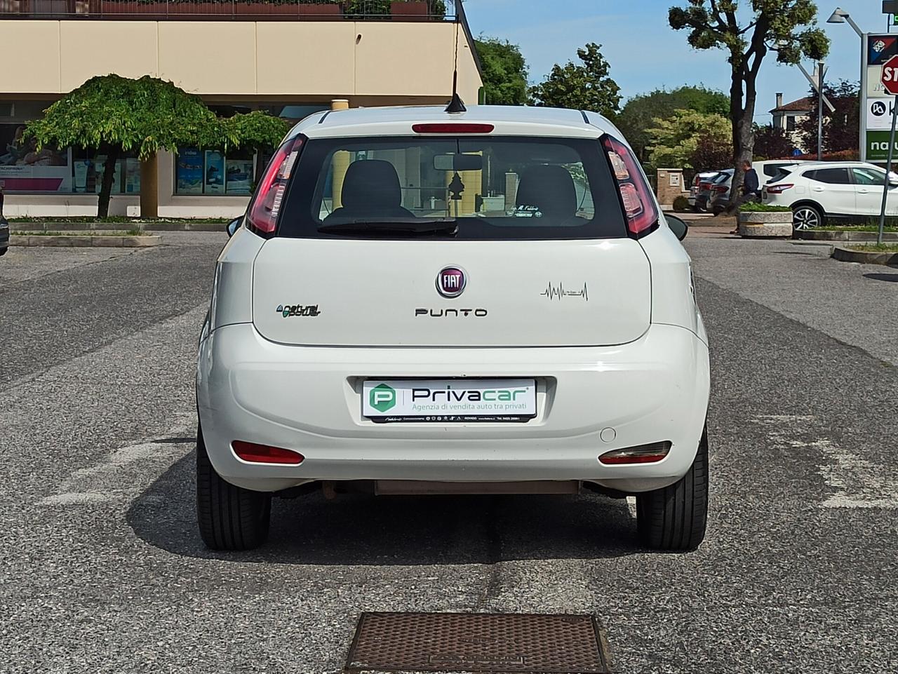 Fiat Punto 1.4 8V 5 porte Natural Power Lounge