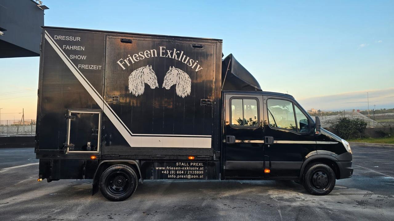 Iveco Daily - Trasporto Cavalli