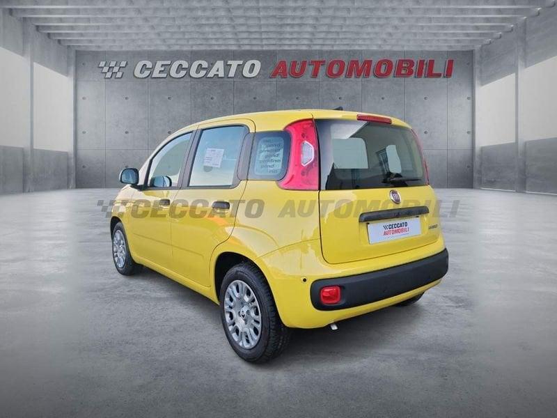 FIAT Pandina Pandina 1.0 65cv Hybrid Icon