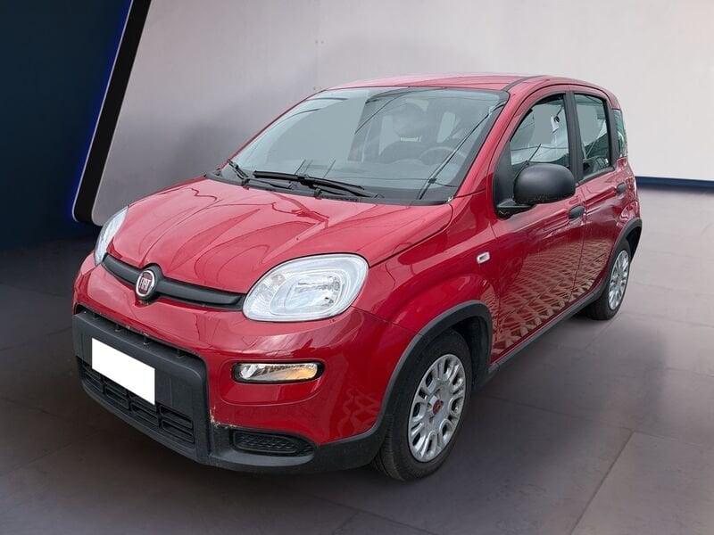 FIAT Panda My24 1.0 70cv Hybrid Panda