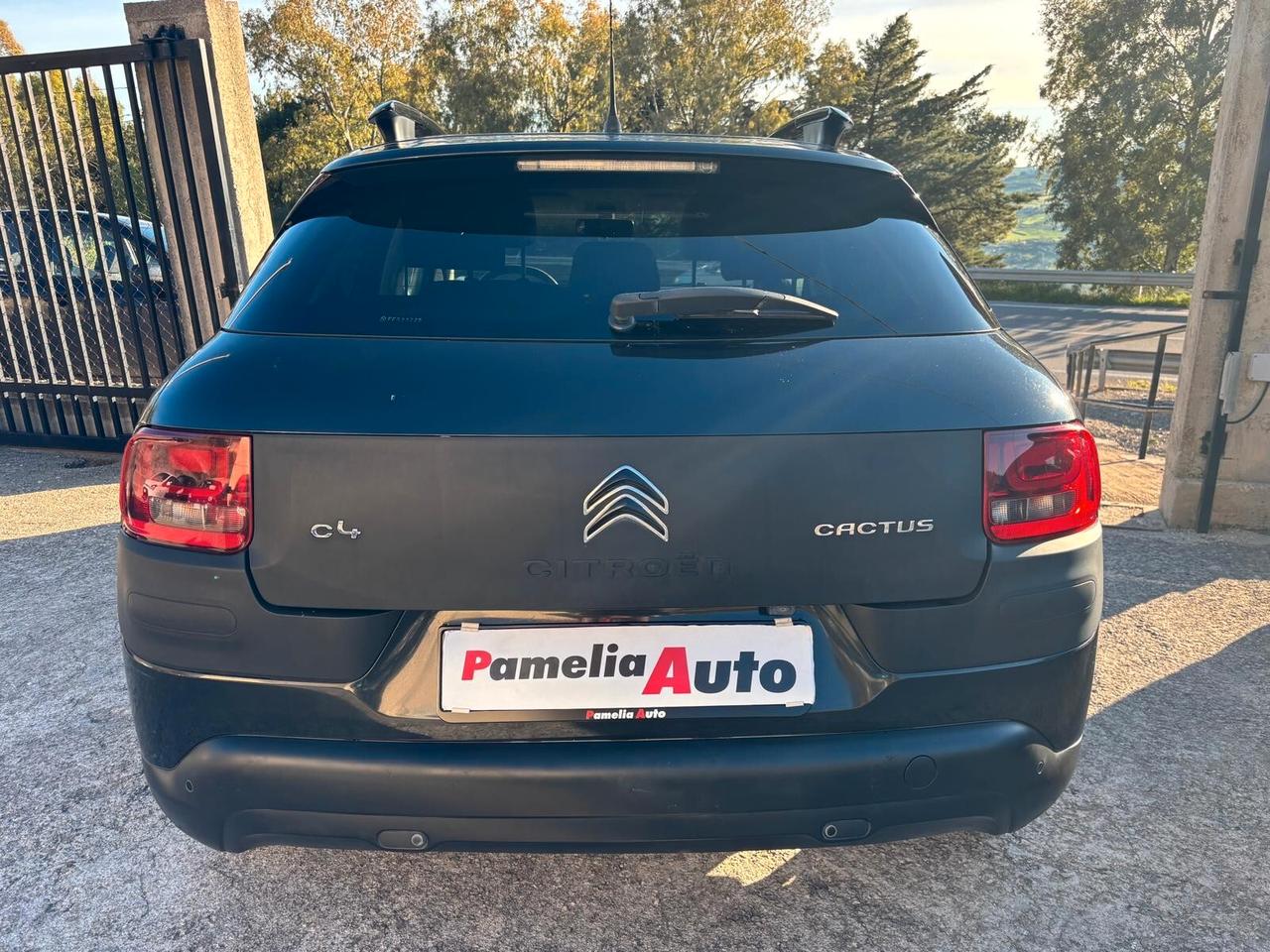 Citroen C4 Cactus BlueHDi 100 S&S Shine - 2015