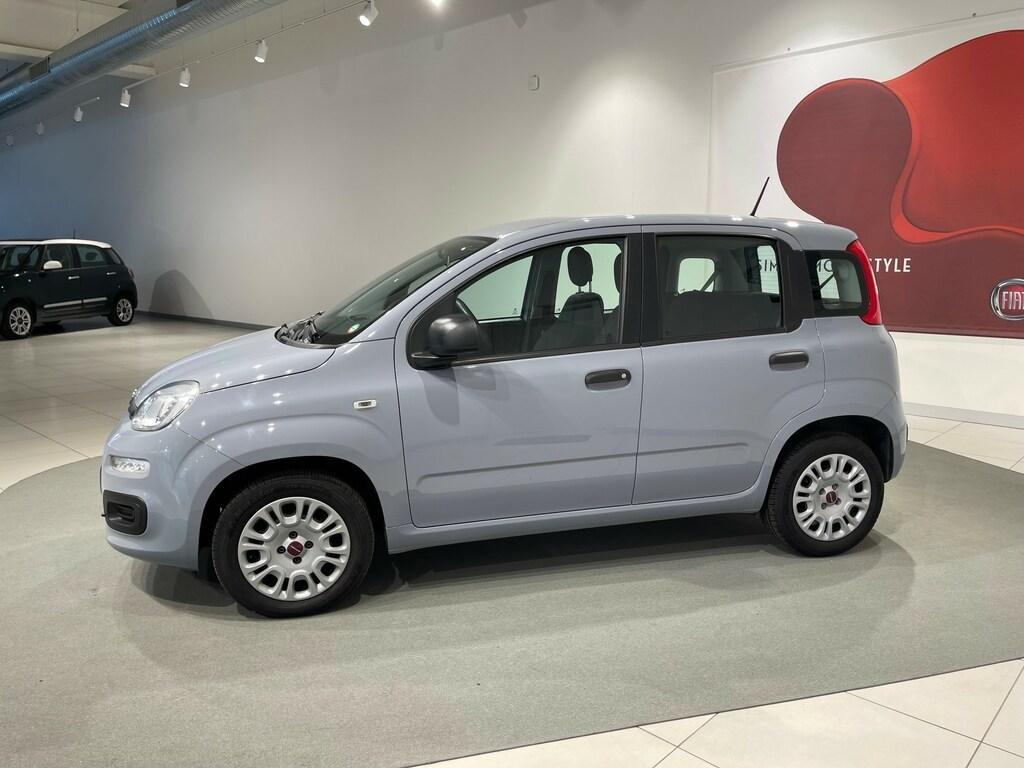 Fiat Panda 1.2 Easy s&s 69cv my19