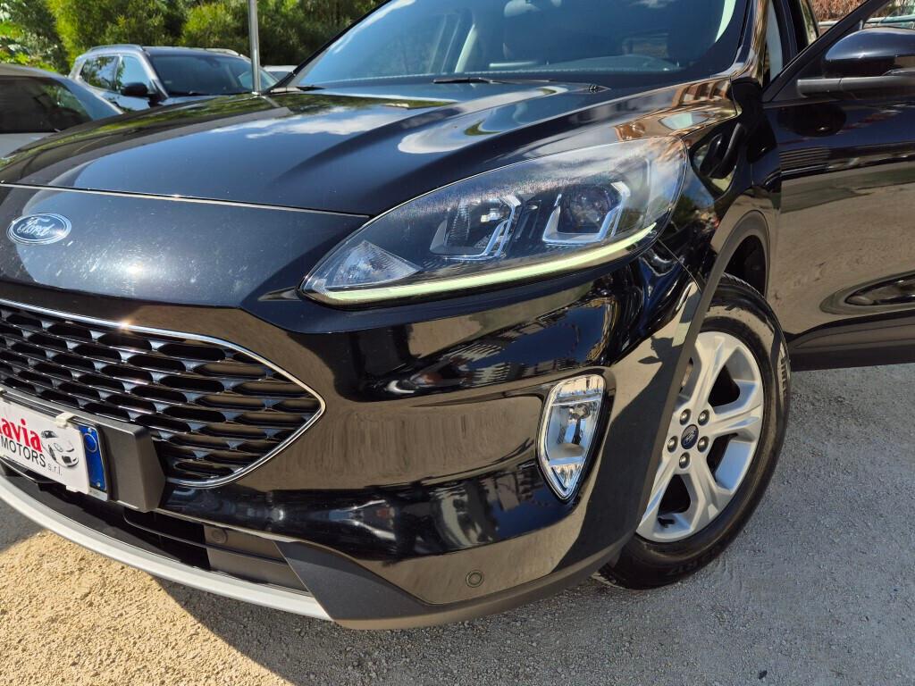 Ford Kuga 1.5 EcoBlue 120CV aut. Connect