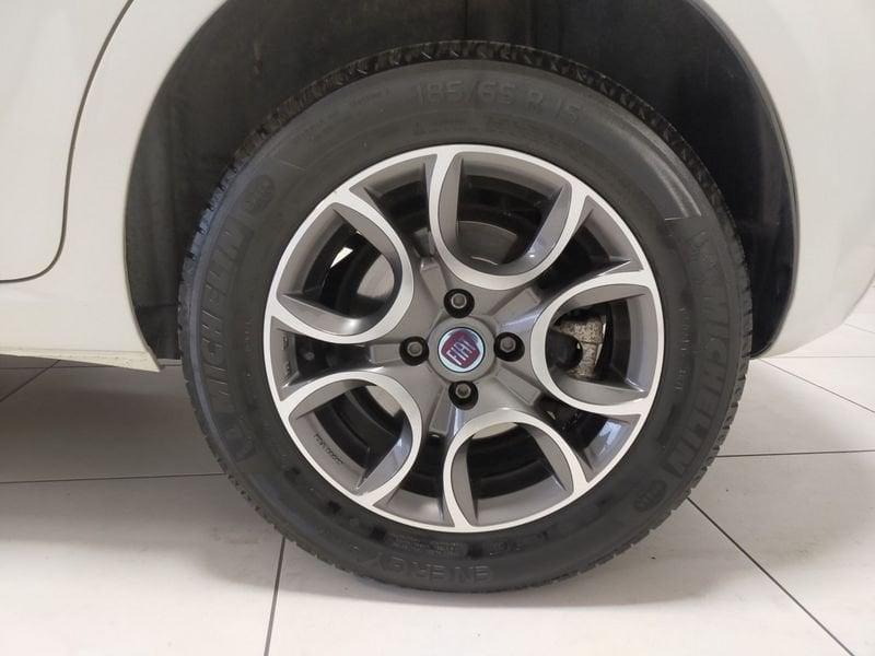 FIAT Punto Punto 1.4 8V 5 porte Natural Power Young