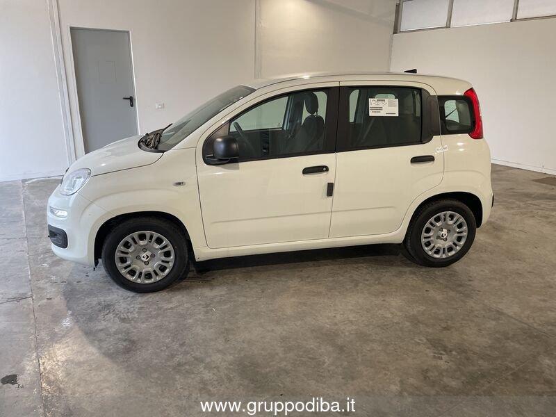 FIAT Panda 1.0 70cv Hybrid Panda
