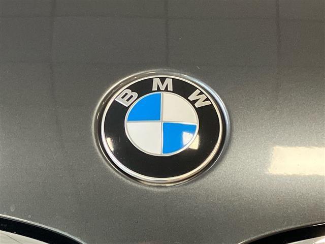 BMW X1 18d sDrive Advantage Steptronic my18