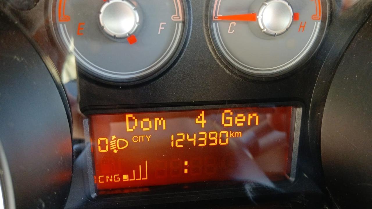 Fiat Punto 1.4 8V 5 porte Natural Power Lounge