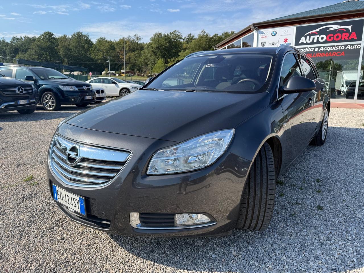 Opel Insignia 2.0 Diesel 160CV || PERFETTA ||