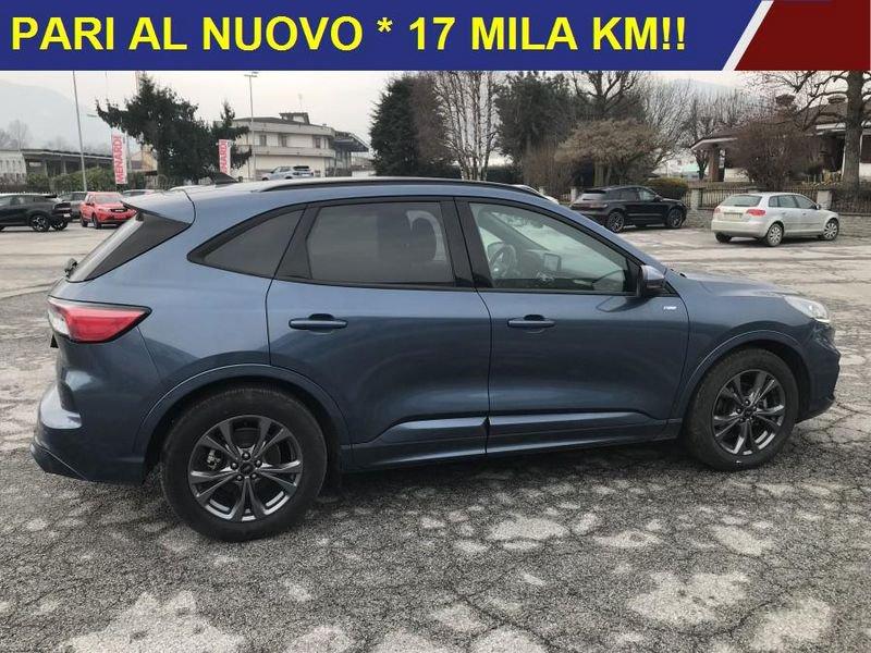 Ford Kuga 2.0 EcoBlue 120cv auto ST-Line ST LINE