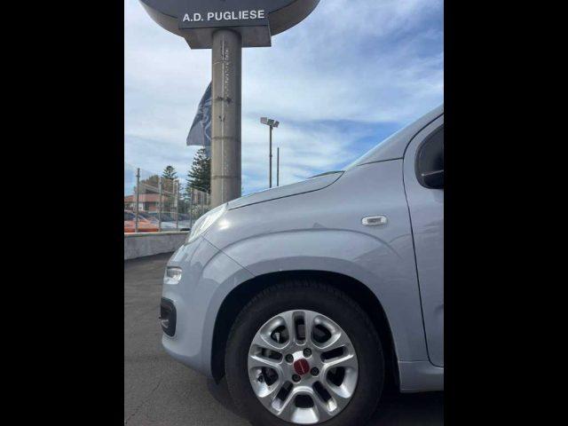 FIAT Panda 3ª serie - 1.0 FireFly S&S Hybrid