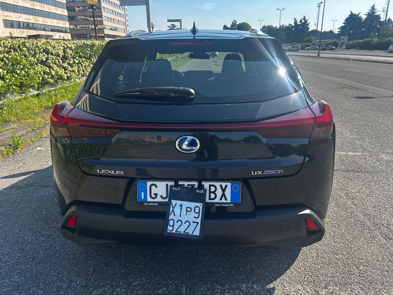 Lexus UX Hybrid 250 Exsecutive
