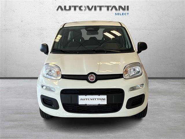 FIAT Panda Pandina 1.0 FireFly Hybrid 65cv Icon S&S 5p.ti