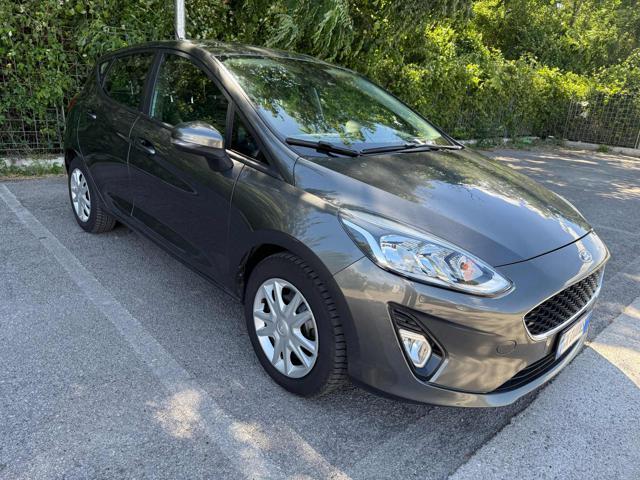 FORD Fiesta 1.5 EcoBlue 5 porte Business