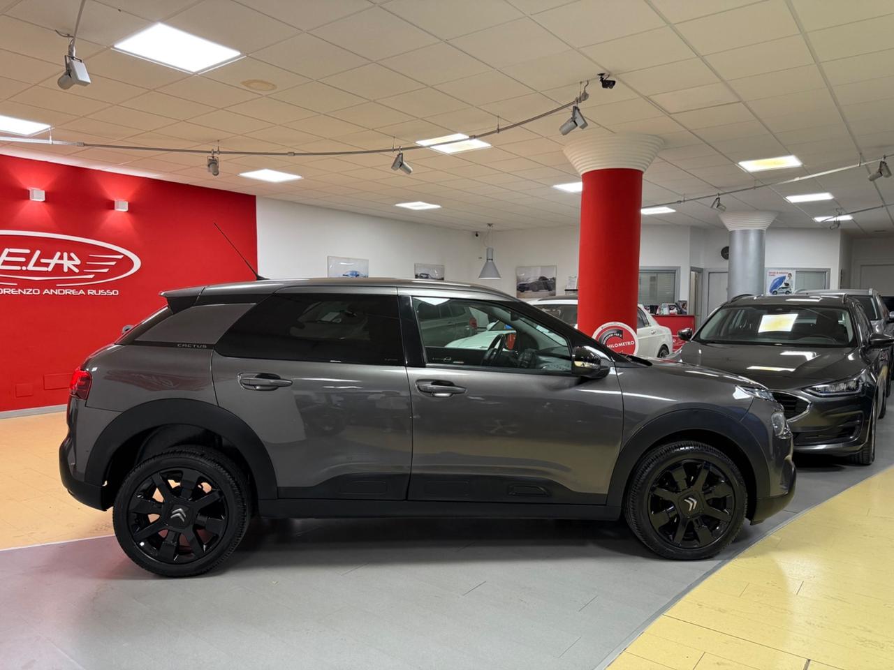 Citroen C4 Cactus BlueHDi 100 S&S Shine
