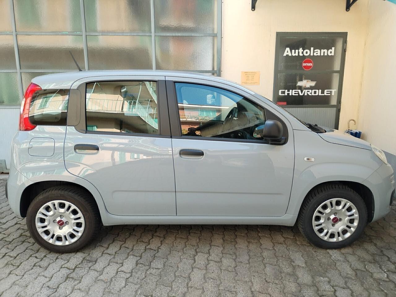 Fiat Panda 1.2 Easy - 11/2020