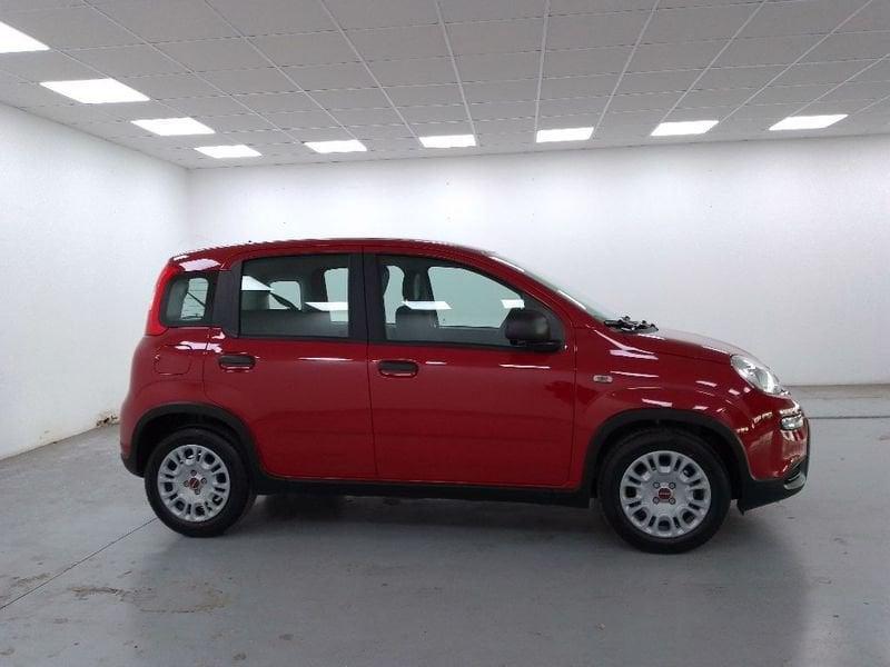 FIAT Panda 1.0 firefly hybrid s&s 70cv