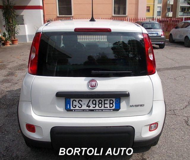 FIAT Panda 1.0 HYBRID 7.000 KM FIREFLY CITY LIFE