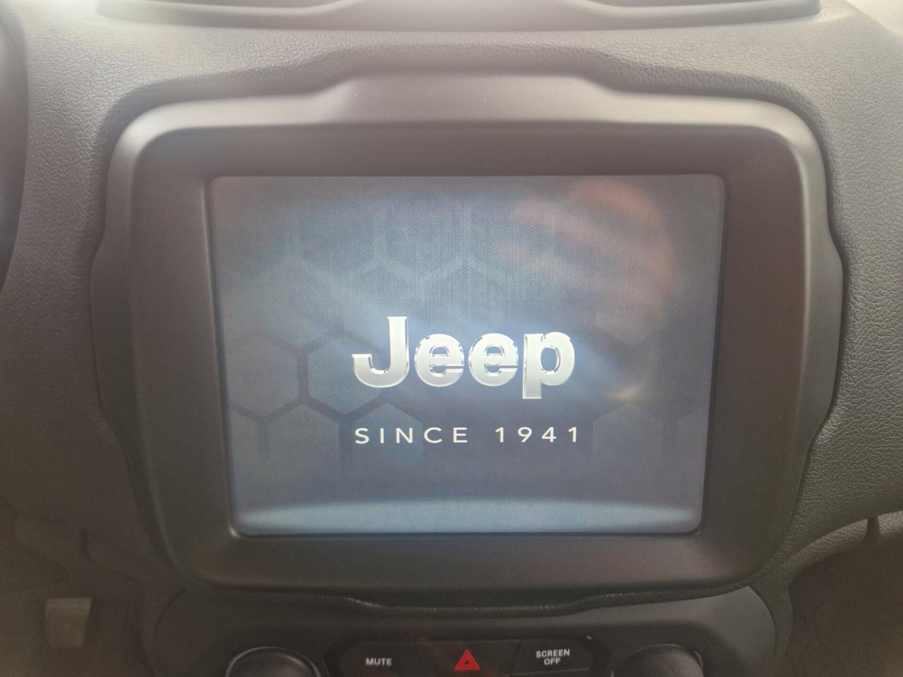 Jeep Renegade 1.6 Mjt 130 CV 80th Anniversary
