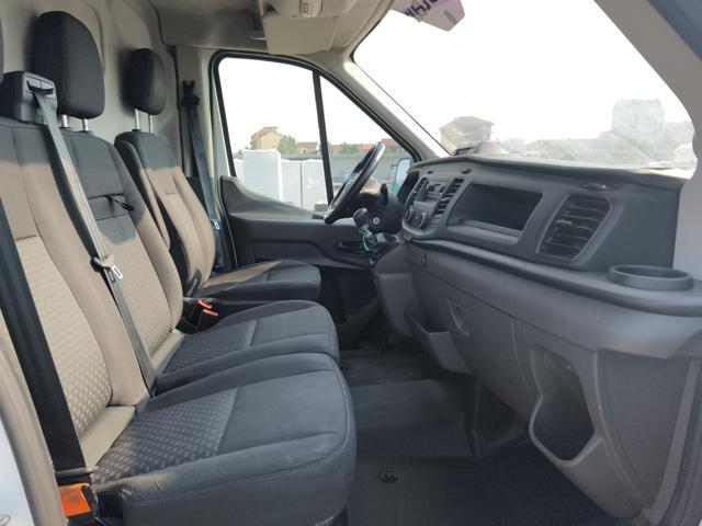 FORD Transit 350 tr.post. 2.0 tdci MHEV 170cv jumbo trend L4...