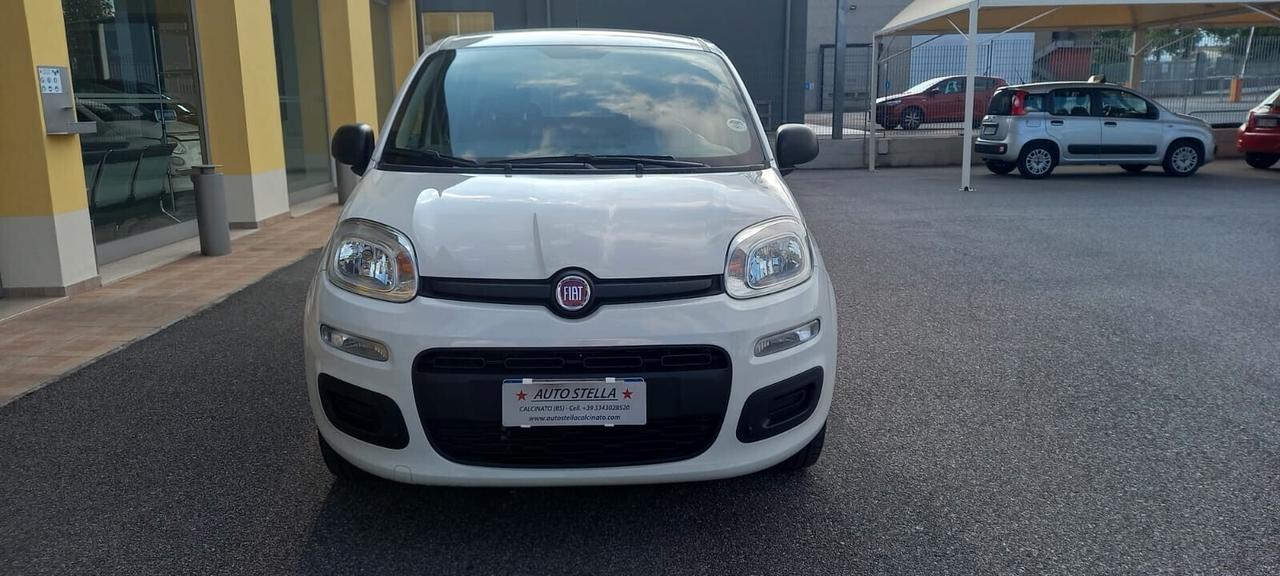 Fiat Panda Benzina cc. 1.242 5 Porte 5 Posti SOLO 55.075 Chilometri Utilizzabile anche per i Neopatentati.