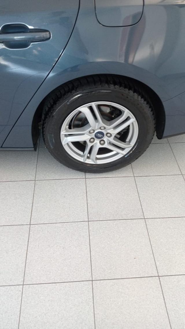 FORD Focus 1.5 EcoBlue 120 CV SW Business