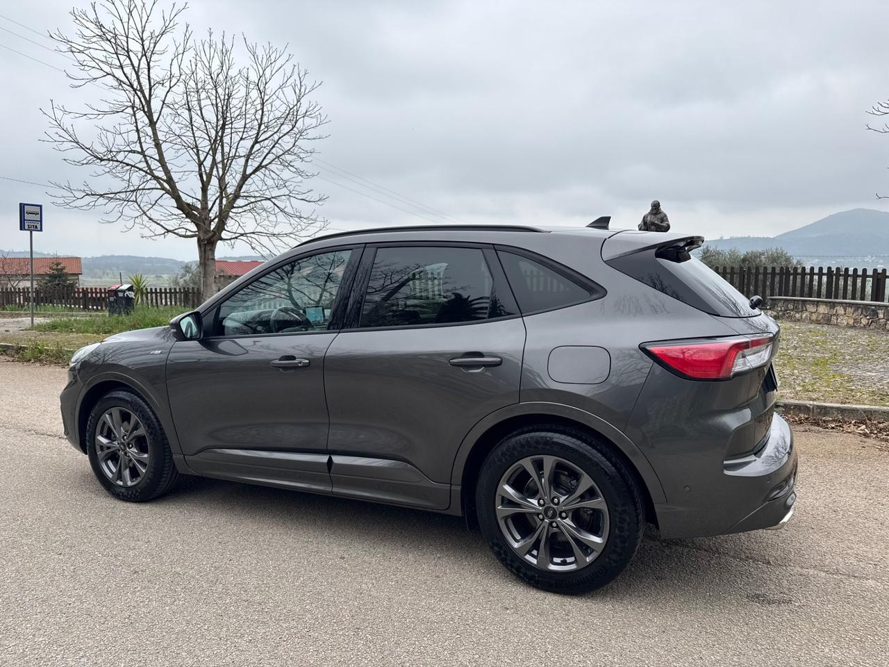 Ford Kuga 1.5 EcoBlue 120 CV aut. 2WD ST-Line