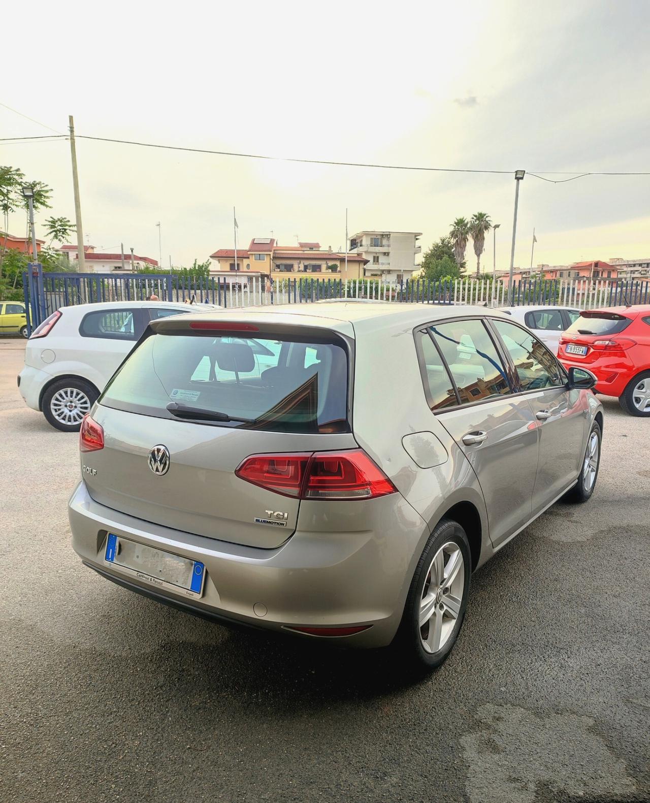 Volkswagen Golf Business 1.4 TGI 5p. Comfortline BlueMotion